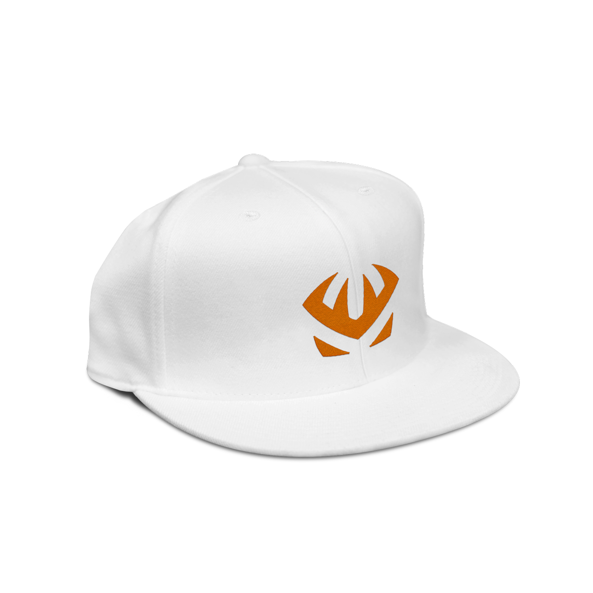 Classic Collection Icon Snapback