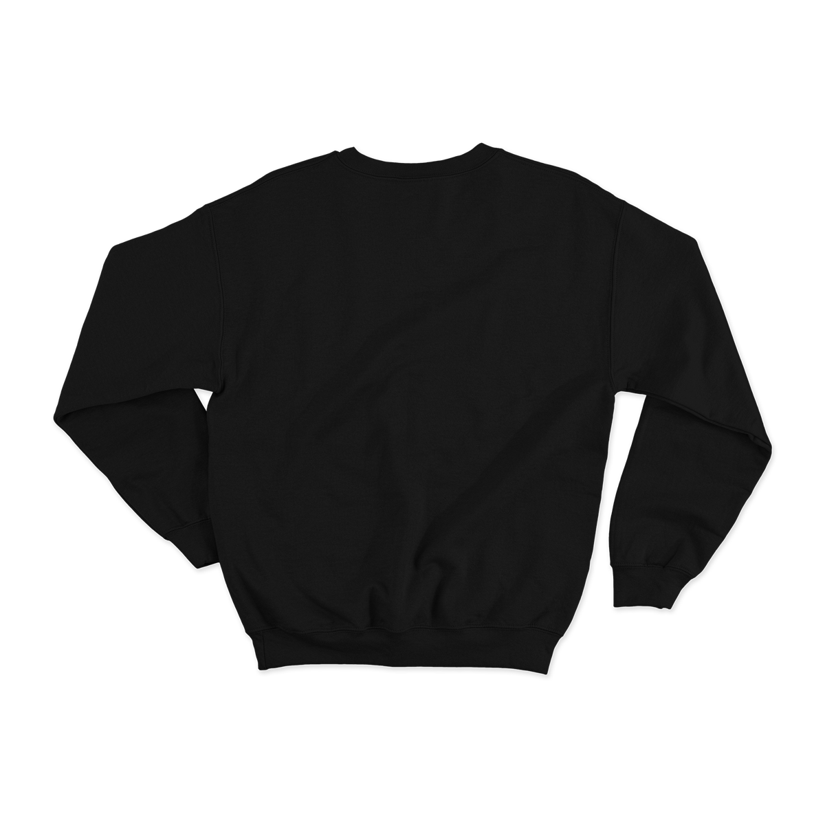Sweatshirt Blank Back