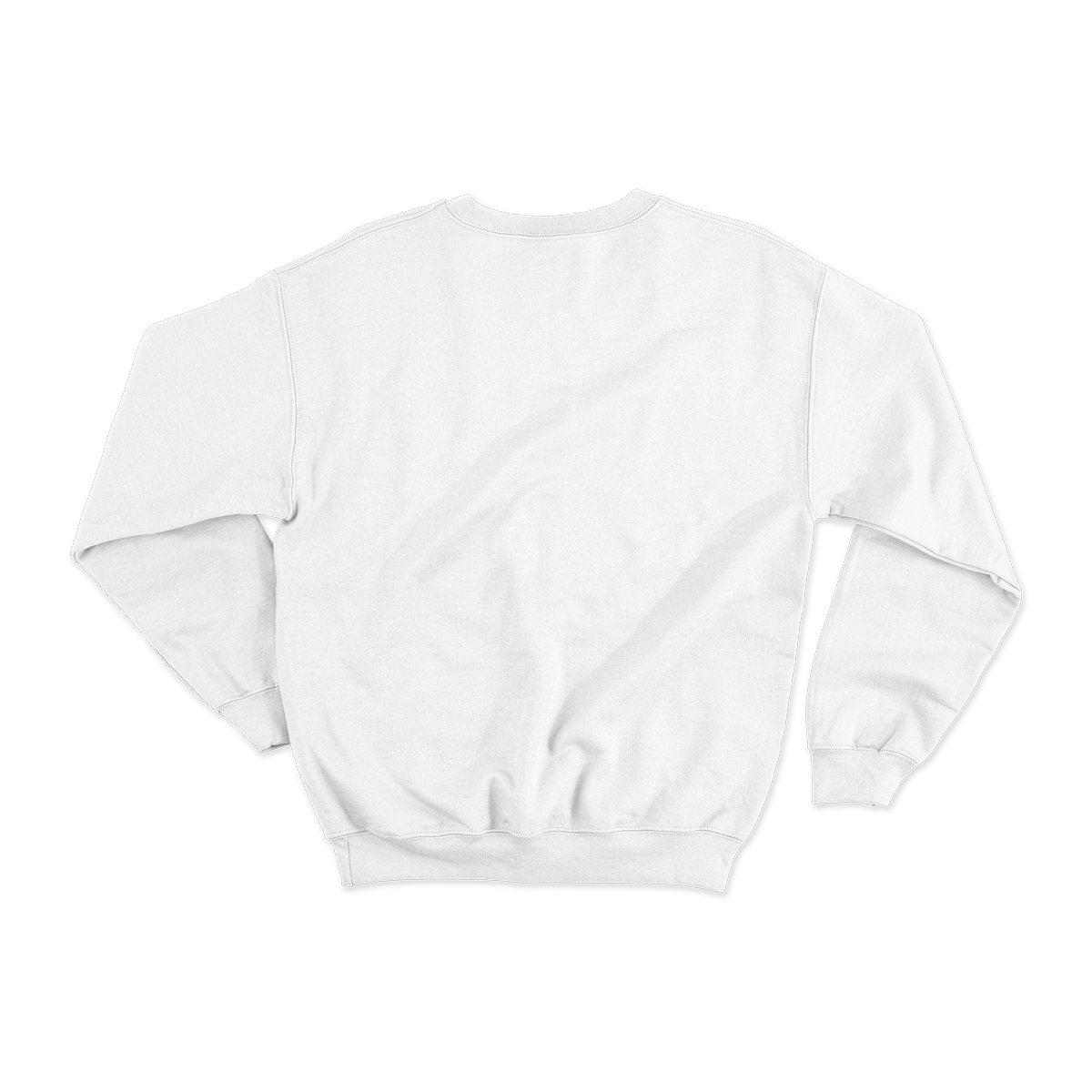 Sweatshirt Blank Back